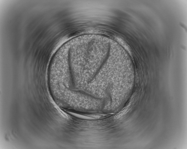 X0000097840803200804111103