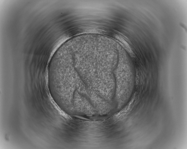 X0000097840804200804111103