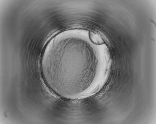 X0000097840806200804111103