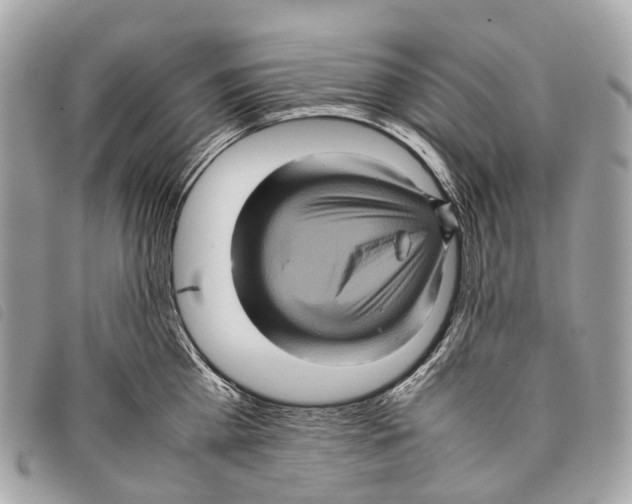 X0000097840809200804111103