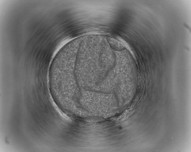 X0000097840811200804111103