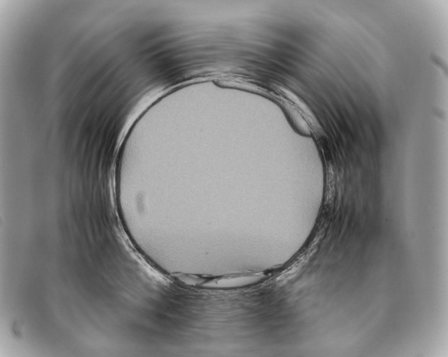 X0000097840812200804111103