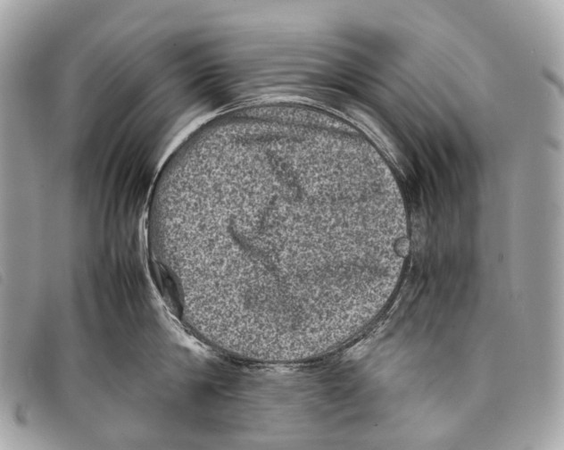 X0000097840814200804111103