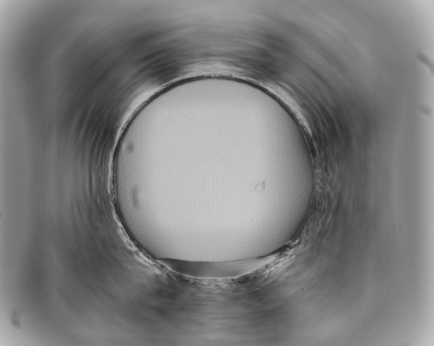 X0000097840815200804111103