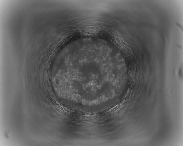 X0000097840817200804111102