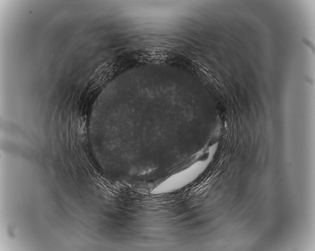 X0000097840818200804111102