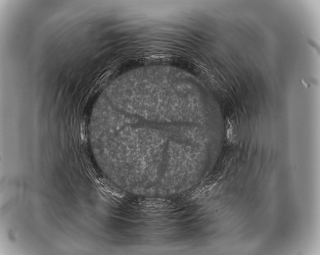 X0000097840819200804111102