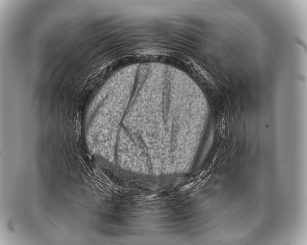 X0000097840821200804111102