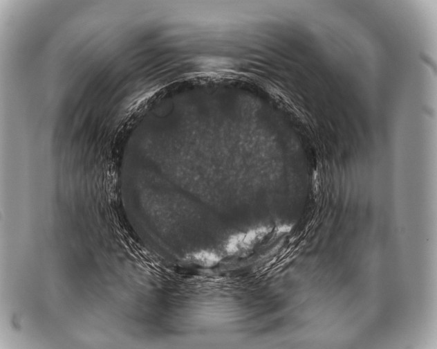 X0000097840822200804111102