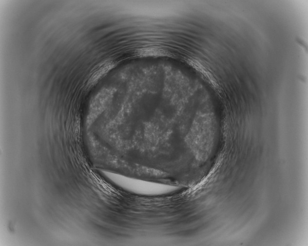 X0000097840825200804111102