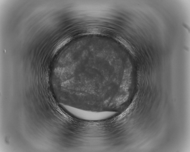 X0000097840826200804111102