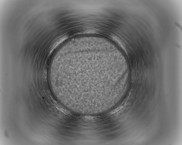 X0000097840827200804111102