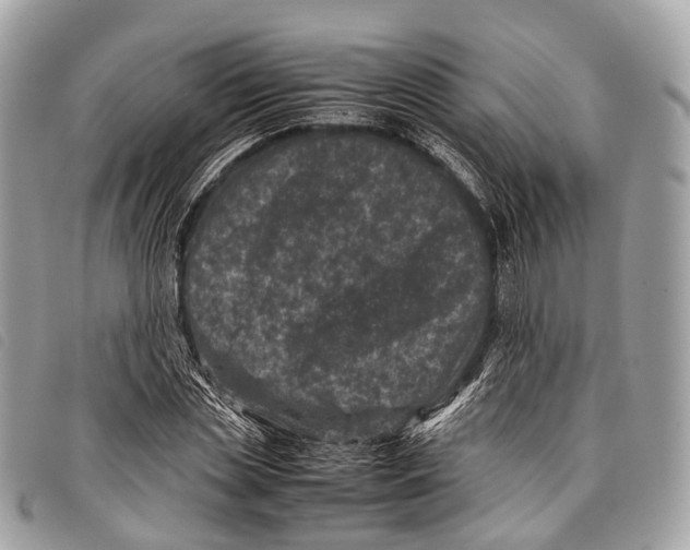 X0000097840829200804111102