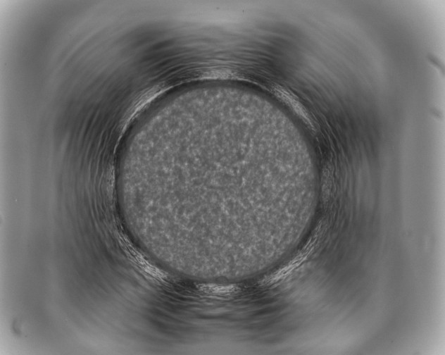 X0000097840831200804111102