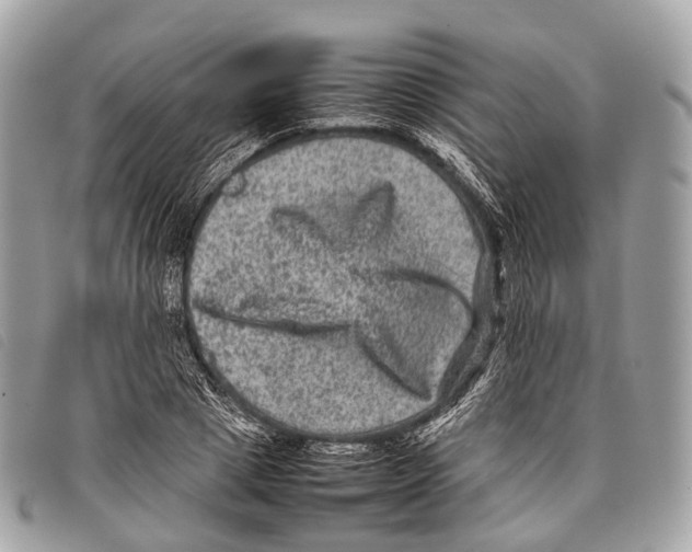 X0000097840833200804111102