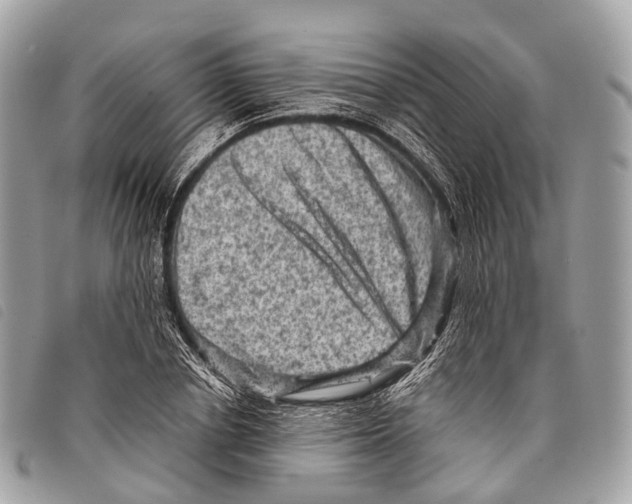 X0000097840834200804111102