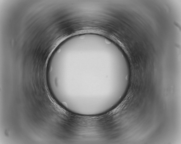 X0000097840836200804111102