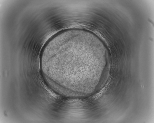 X0000097840838200804111102