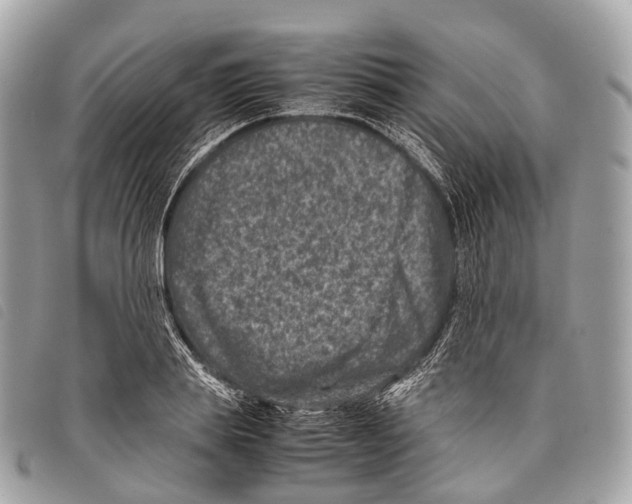X0000097840839200804111102