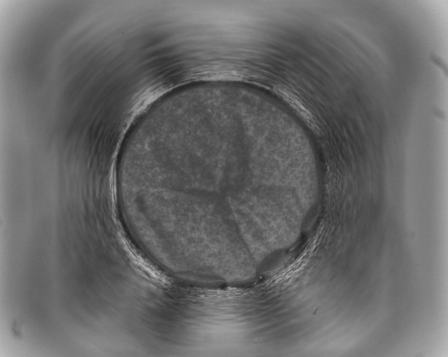 X0000097840840200804111102