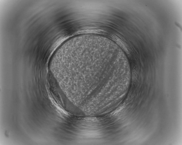 X0000097840844200804111102