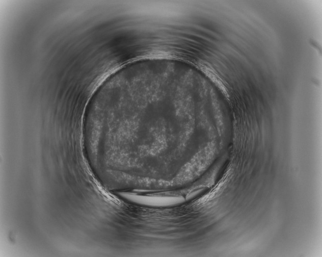 X0000097840845200804111102