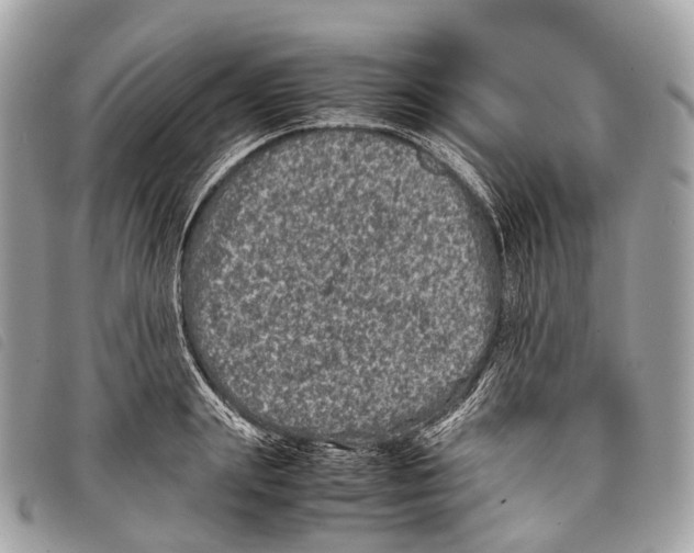 X0000097840847200804111102