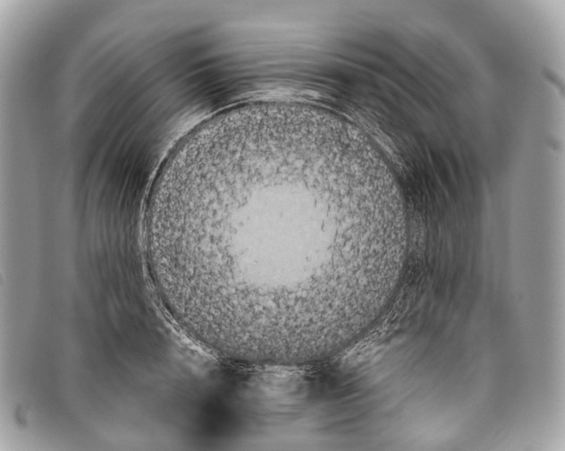 X0000097840848200804111102