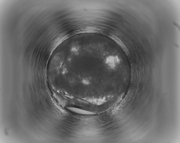 X0000097840850200804111102