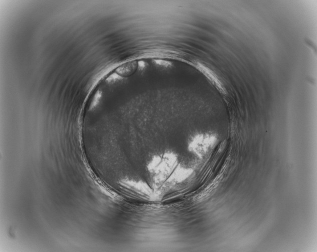 X0000097840854200804111103