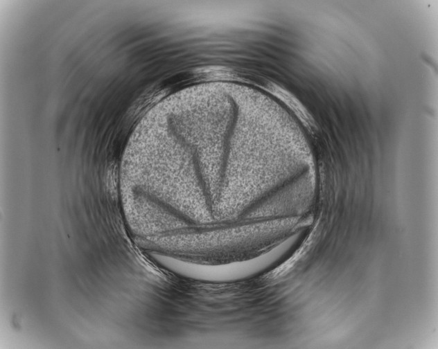X0000097840857200804111103