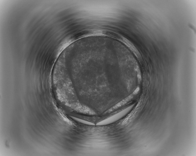 X0000097840858200804111103