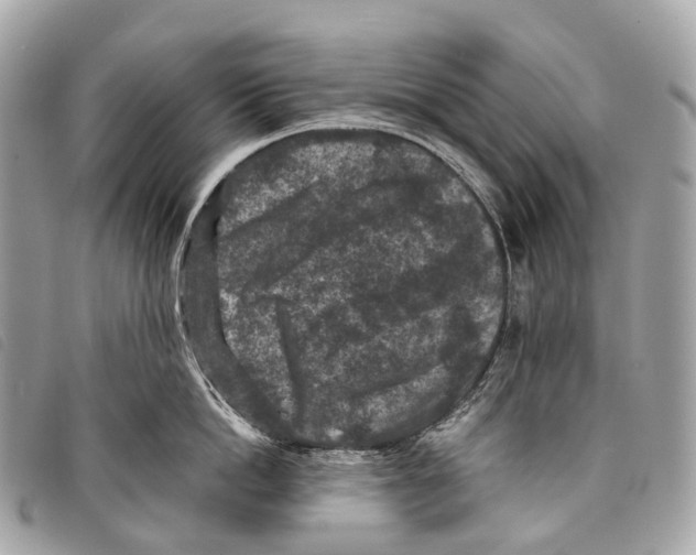 X0000097840862200804111103