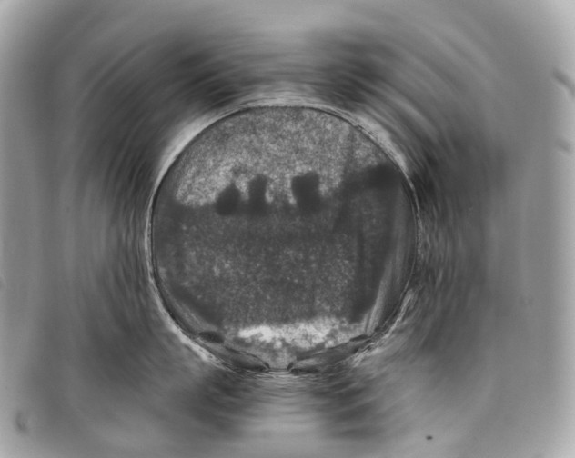 X0000097840863200804111103