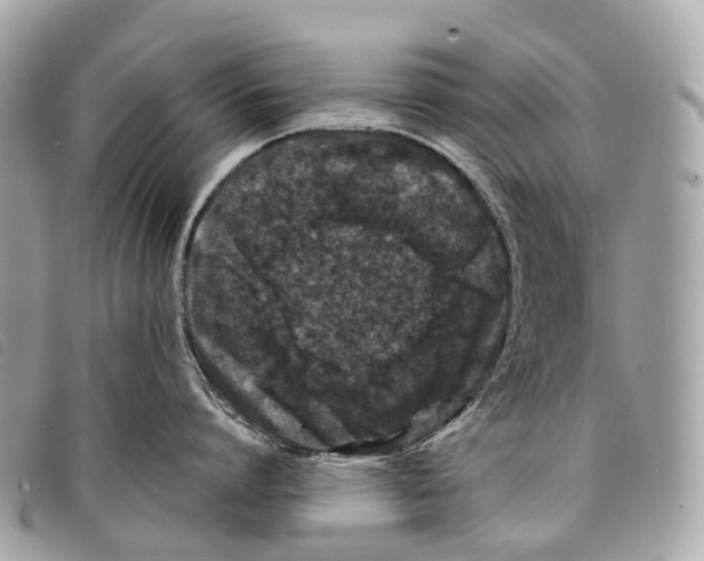 X0000097840864200804111103