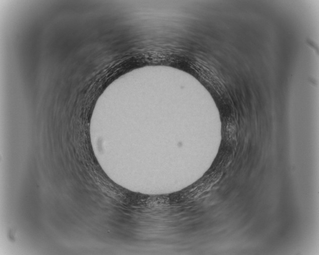 X0000097840865200804111102
