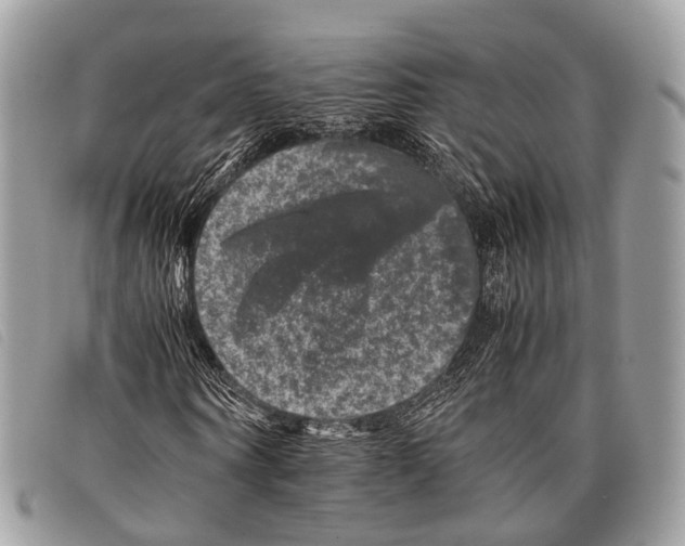 X0000097840866200804111102