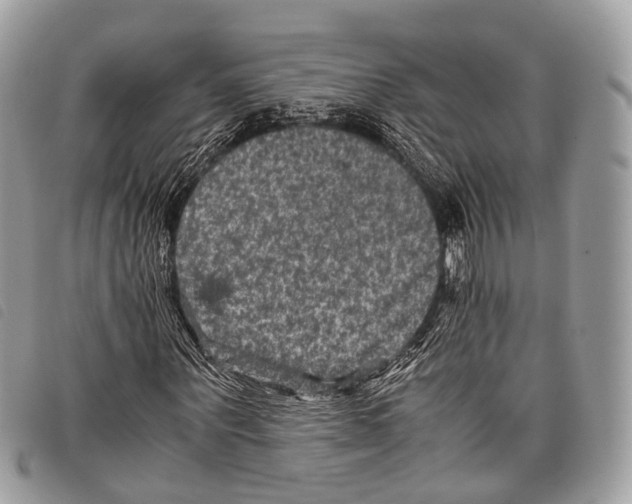 X0000097840867200804111102