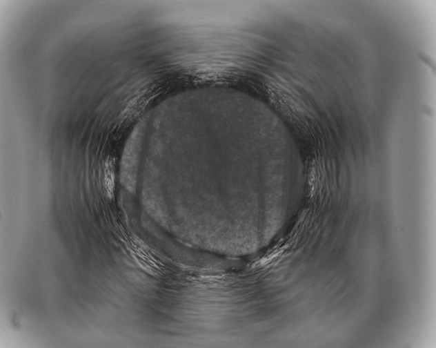 X0000097840868200804111102