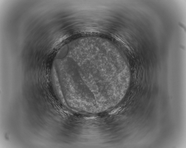 X0000097840870200804111102