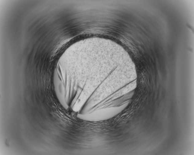 X0000097840872200804111102
