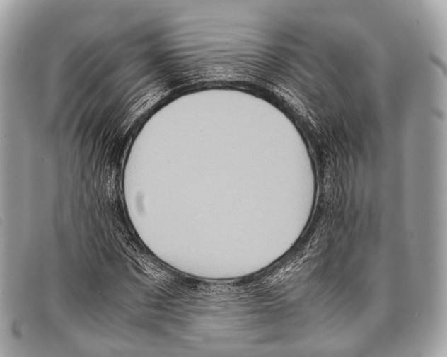 X0000097840873200804111102