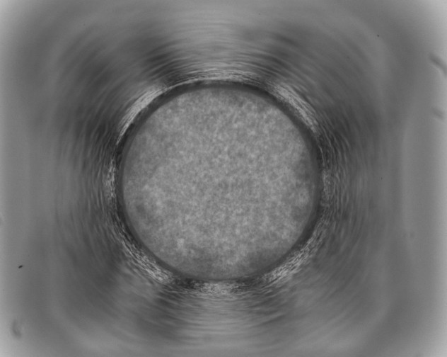 X0000097840875200804111102