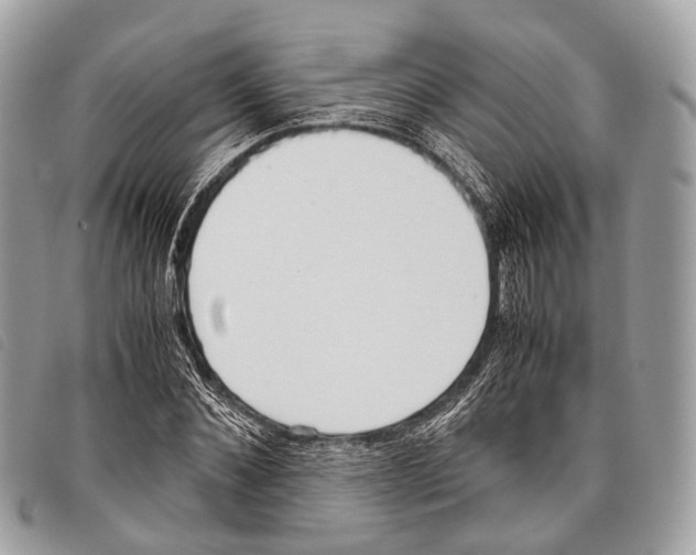 X0000097840876200804111102