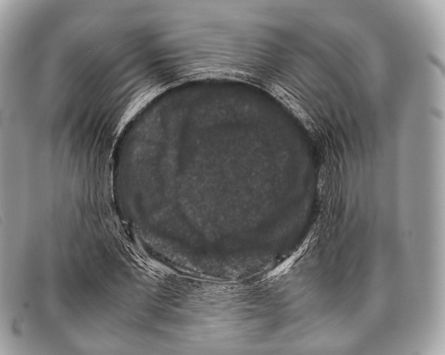 X0000097840877200804111102