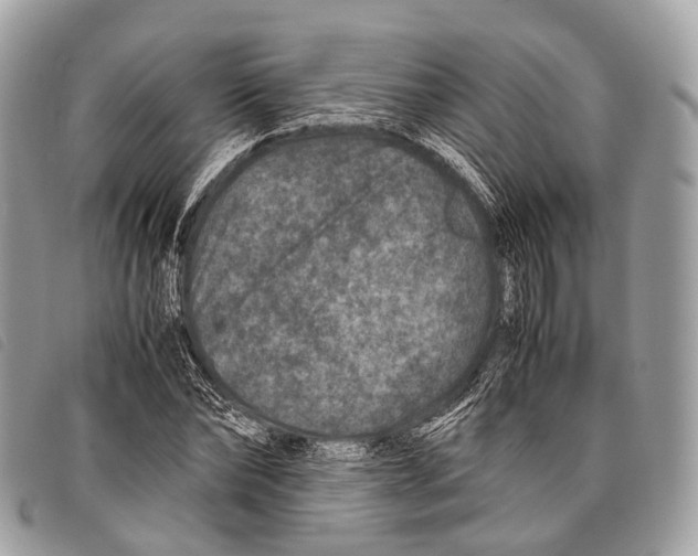X0000097840878200804111102