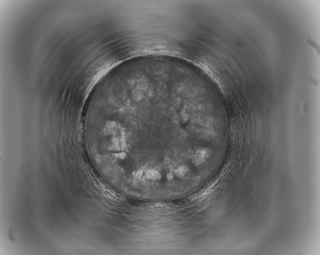 X0000097840879200804111102