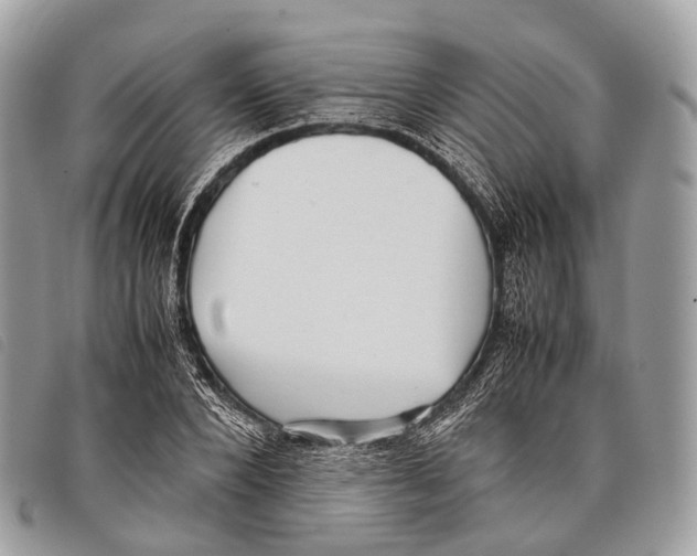 X0000097840880200804111102