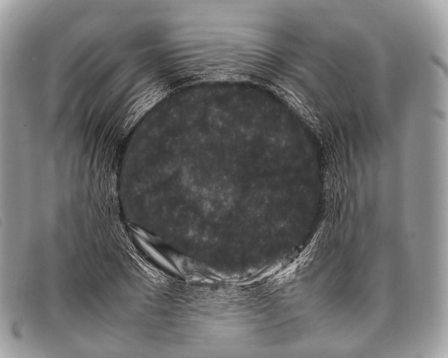 X0000097840881200804111102