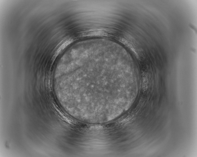 X0000097840882200804111102